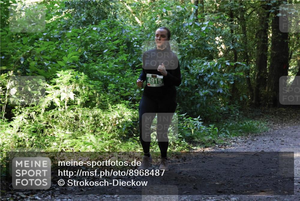 28.09.2025 - 33. Volkslauf durch das schöne Alstertal Strokosch-Dieckow http://msf.ph/oto/8968487 28.09.2025 11:02:31 Laufen 4915 meine-sportfotos.de