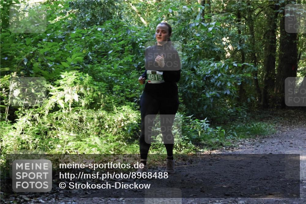 28.09.2025 - 33. Volkslauf durch das schöne Alstertal Strokosch-Dieckow http://msf.ph/oto/8968488 28.09.2025 11:02:31 Laufen 4915 meine-sportfotos.de