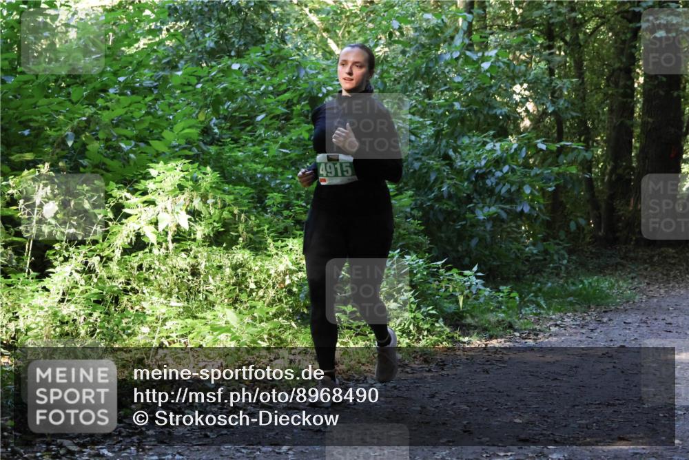 28.09.2025 - 33. Volkslauf durch das schöne Alstertal Strokosch-Dieckow http://msf.ph/oto/8968490 28.09.2025 11:02:31 Laufen 4915 meine-sportfotos.de