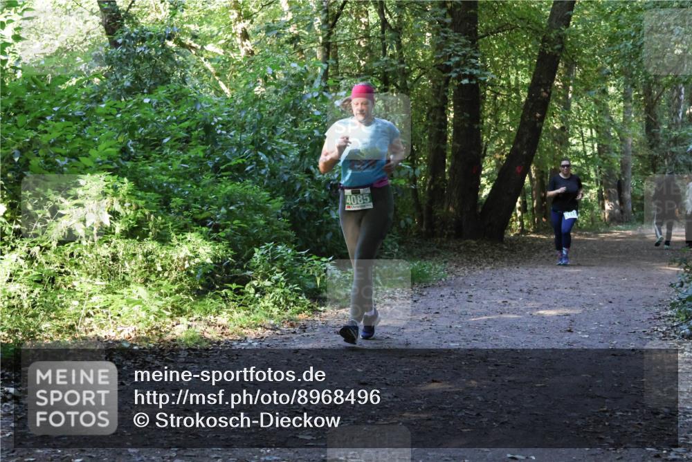 28.09.2025 - 33. Volkslauf durch das schöne Alstertal Strokosch-Dieckow http://msf.ph/oto/8968496 28.09.2025 11:02:58 Laufen 4085 meine-sportfotos.de