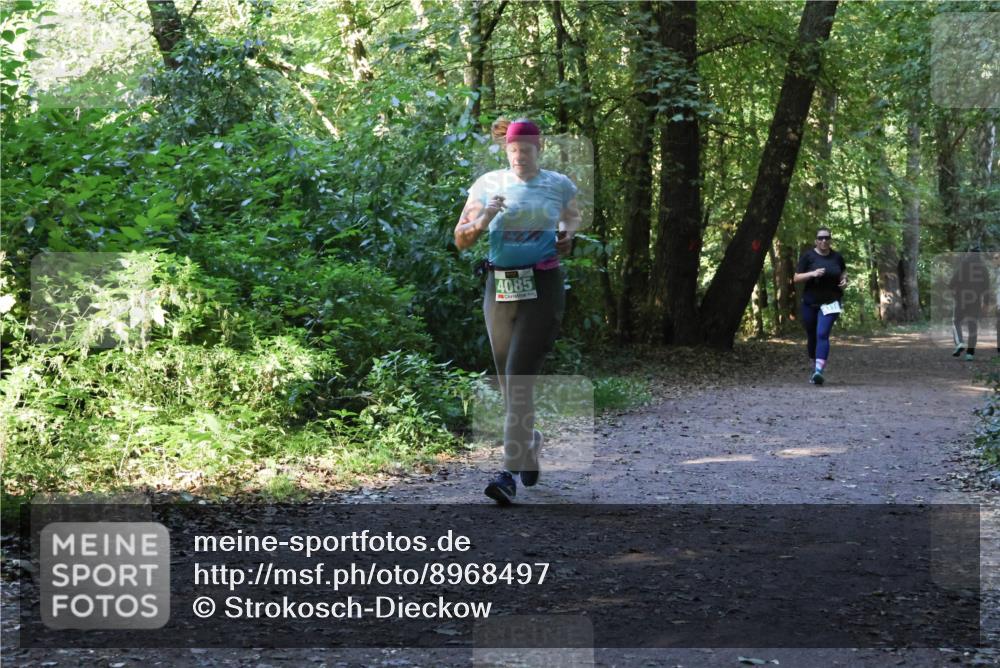 28.09.2025 - 33. Volkslauf durch das schöne Alstertal Strokosch-Dieckow http://msf.ph/oto/8968497 28.09.2025 11:02:58 Laufen 4085 meine-sportfotos.de