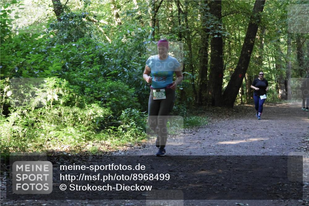 28.09.2025 - 33. Volkslauf durch das schöne Alstertal Strokosch-Dieckow http://msf.ph/oto/8968499 28.09.2025 11:02:58 Laufen 4085 meine-sportfotos.de