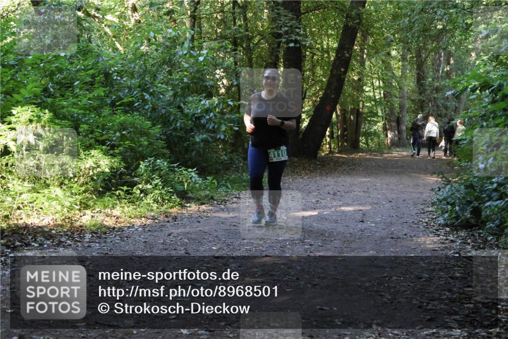 28.09.2025 - 33. Volkslauf durch das schöne Alstertal Strokosch-Dieckow http://msf.ph/oto/8968501 28.09.2025 11:03:03 Laufen 4110 meine-sportfotos.de