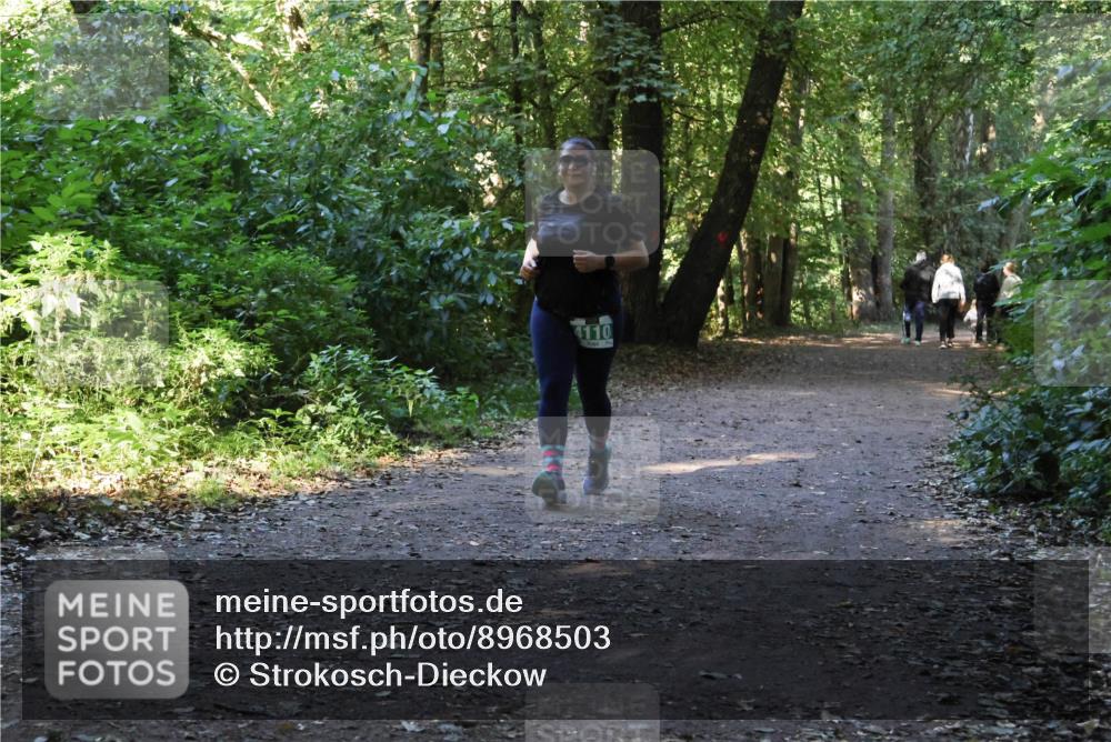 28.09.2025 - 33. Volkslauf durch das schöne Alstertal Strokosch-Dieckow http://msf.ph/oto/8968503 28.09.2025 11:03:03 Laufen 4110 meine-sportfotos.de
