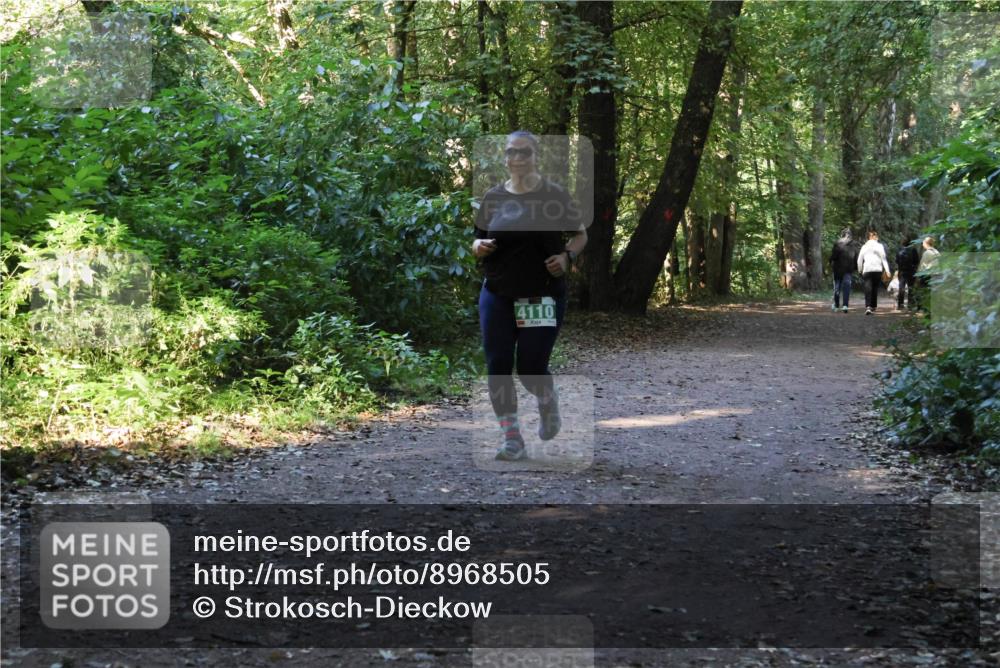 28.09.2025 - 33. Volkslauf durch das schöne Alstertal Strokosch-Dieckow http://msf.ph/oto/8968505 28.09.2025 11:03:03 Laufen 4110 meine-sportfotos.de