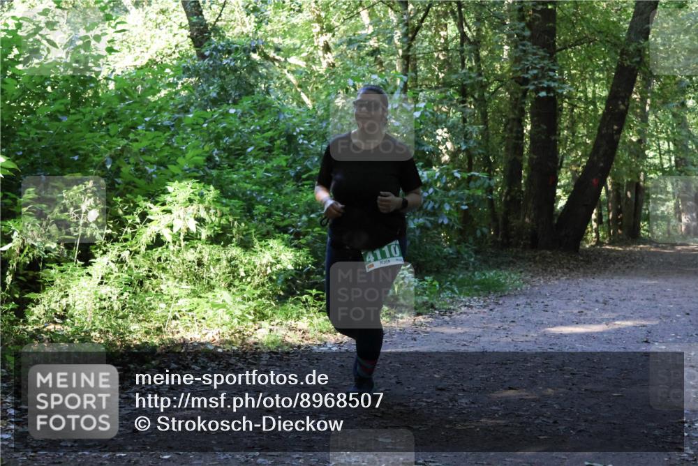 28.09.2025 - 33. Volkslauf durch das schöne Alstertal Strokosch-Dieckow http://msf.ph/oto/8968507 28.09.2025 11:03:04 Laufen 4110 meine-sportfotos.de