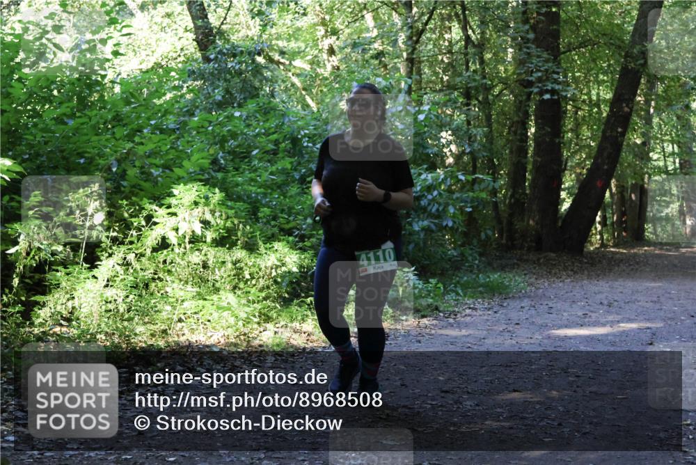 28.09.2025 - 33. Volkslauf durch das schöne Alstertal Strokosch-Dieckow http://msf.ph/oto/8968508 28.09.2025 11:03:05 Laufen 4110 meine-sportfotos.de