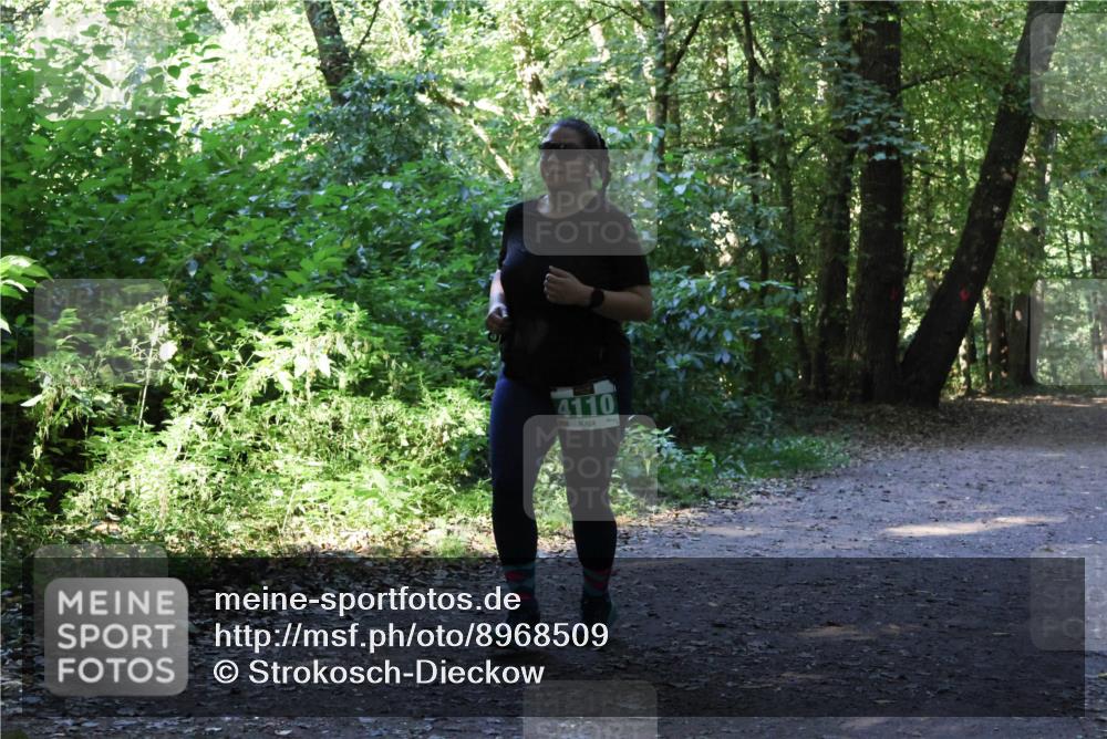 28.09.2025 - 33. Volkslauf durch das schöne Alstertal Strokosch-Dieckow http://msf.ph/oto/8968509 28.09.2025 11:03:05 Laufen 4110 meine-sportfotos.de