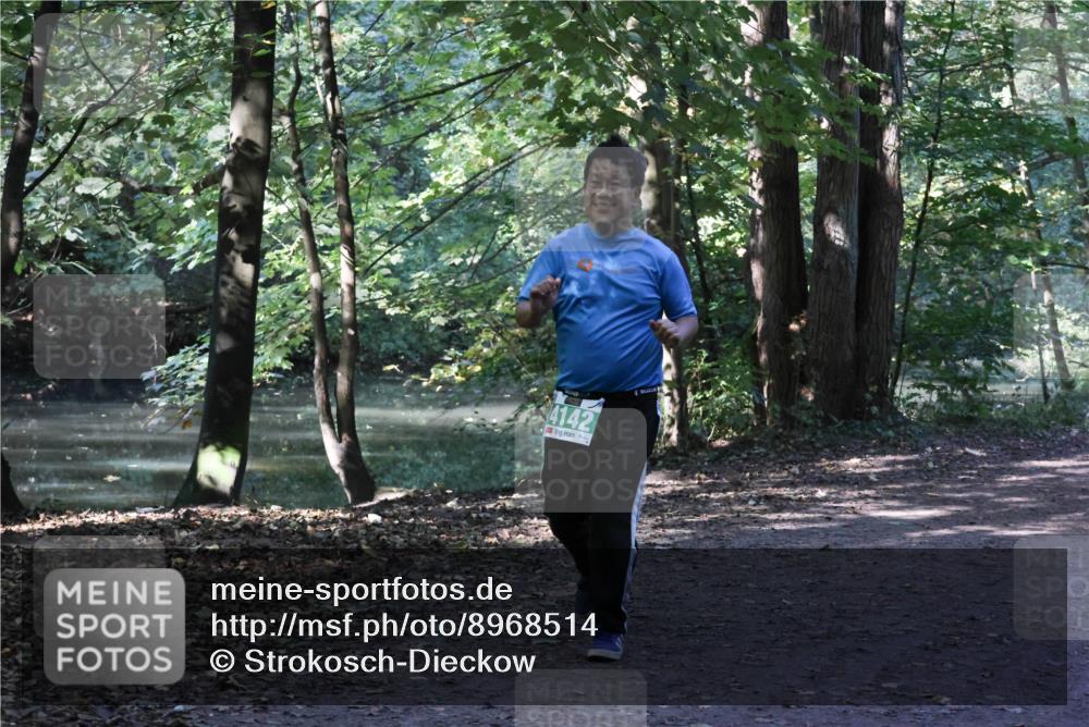 28.09.2025 - 33. Volkslauf durch das schöne Alstertal Strokosch-Dieckow http://msf.ph/oto/8968514 28.09.2025 11:03:55 Laufen 4142 meine-sportfotos.de