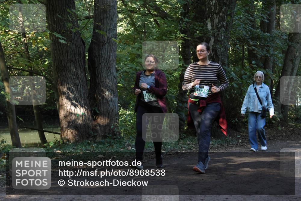 28.09.2025 - 33. Volkslauf durch das schöne Alstertal Strokosch-Dieckow http://msf.ph/oto/8968538 28.09.2025 11:05:13 Laufen 4027, 4026 meine-sportfotos.de