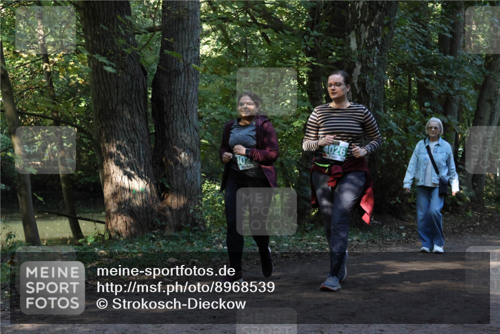 28.09.2025 - 33. Volkslauf durch das schöne Alstertal Strokosch-Dieckow http://msf.ph/oto/8968539 28.09.2025 11:05:13 Laufen 402, 4026 meine-sportfotos.de