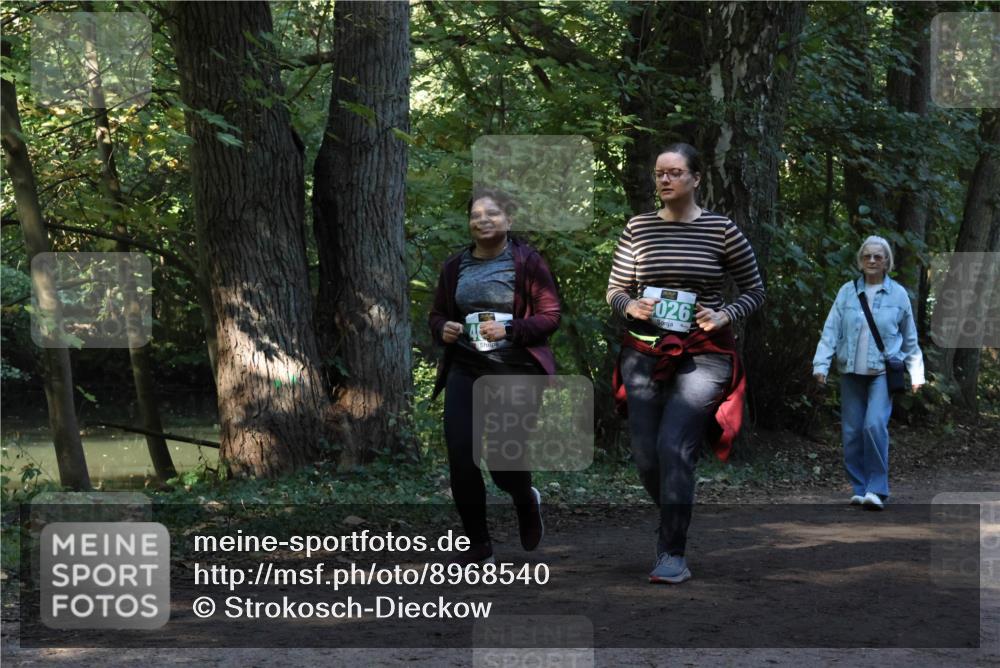 28.09.2025 - 33. Volkslauf durch das schöne Alstertal Strokosch-Dieckow http://msf.ph/oto/8968540 28.09.2025 11:05:14 Laufen 026 meine-sportfotos.de