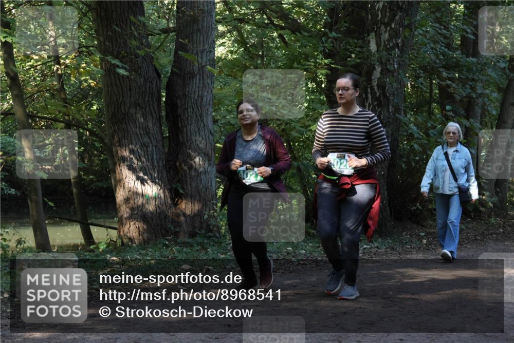 28.09.2025 - 33. Volkslauf durch das schöne Alstertal Strokosch-Dieckow http://msf.ph/oto/8968541 28.09.2025 11:05:14 Laufen 402 meine-sportfotos.de