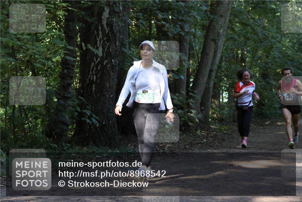 28.09.2025 - 33. Volkslauf durch das schöne Alstertal Strokosch-Dieckow http://msf.ph/oto/8968542 28.09.2025 11:05:26 Laufen 4068 meine-sportfotos.de