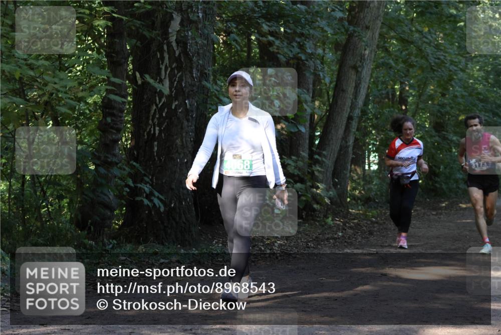 28.09.2025 - 33. Volkslauf durch das schöne Alstertal Strokosch-Dieckow http://msf.ph/oto/8968543 28.09.2025 11:05:26 Laufen 4068, 3173 meine-sportfotos.de