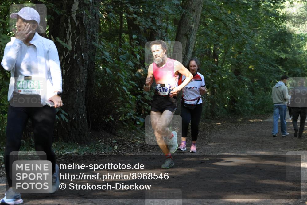 28.09.2025 - 33. Volkslauf durch das schöne Alstertal Strokosch-Dieckow http://msf.ph/oto/8968546 28.09.2025 11:05:27 Laufen 4068, 3173 meine-sportfotos.de