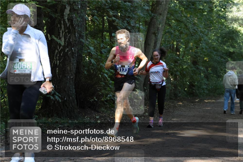 28.09.2025 - 33. Volkslauf durch das schöne Alstertal Strokosch-Dieckow http://msf.ph/oto/8968548 28.09.2025 11:05:28 Laufen 4068, 3173 meine-sportfotos.de