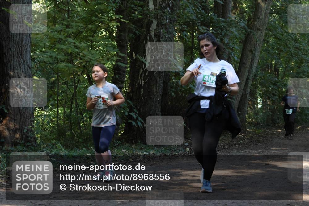28.09.2025 - 33. Volkslauf durch das schöne Alstertal Strokosch-Dieckow http://msf.ph/oto/8968556 28.09.2025 11:05:53 Laufen 409, 4145 meine-sportfotos.de