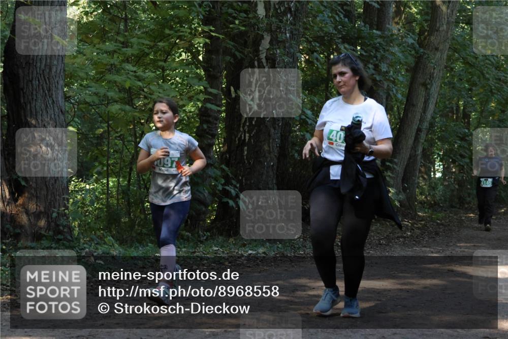 28.09.2025 - 33. Volkslauf durch das schöne Alstertal Strokosch-Dieckow http://msf.ph/oto/8968558 28.09.2025 11:05:53 Laufen 097, 40, 4145 meine-sportfotos.de