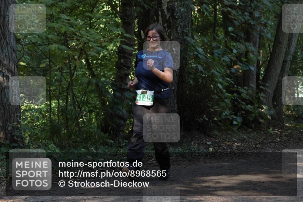 28.09.2025 - 33. Volkslauf durch das schöne Alstertal Strokosch-Dieckow http://msf.ph/oto/8968565 28.09.2025 11:06:01 Laufen 145 meine-sportfotos.de