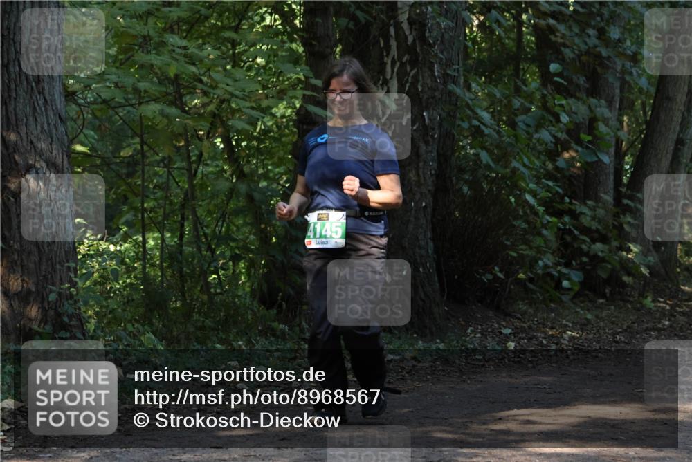 28.09.2025 - 33. Volkslauf durch das schöne Alstertal Strokosch-Dieckow http://msf.ph/oto/8968567 28.09.2025 11:06:01 Laufen 4145 meine-sportfotos.de
