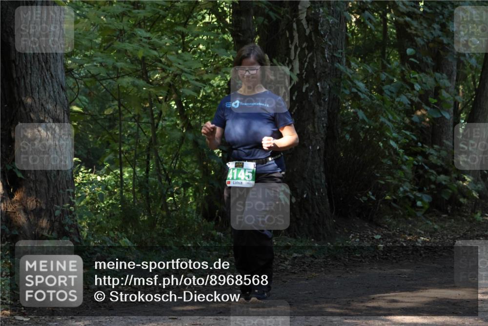 28.09.2025 - 33. Volkslauf durch das schöne Alstertal Strokosch-Dieckow http://msf.ph/oto/8968568 28.09.2025 11:06:01 Laufen 4145 meine-sportfotos.de