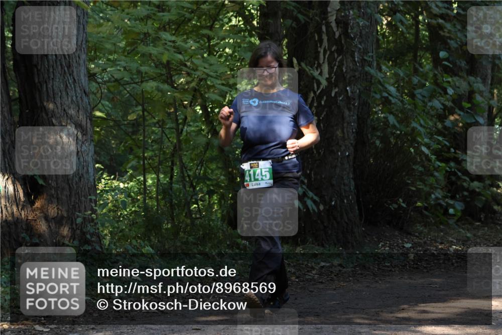28.09.2025 - 33. Volkslauf durch das schöne Alstertal Strokosch-Dieckow http://msf.ph/oto/8968569 28.09.2025 11:06:01 Laufen 4145 meine-sportfotos.de