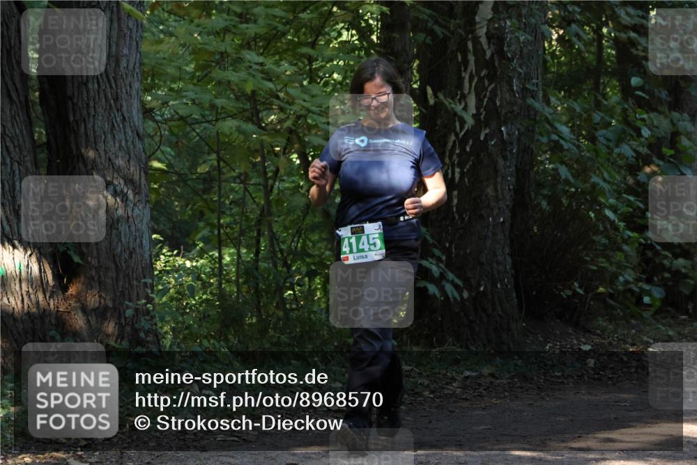 28.09.2025 - 33. Volkslauf durch das schöne Alstertal Strokosch-Dieckow http://msf.ph/oto/8968570 28.09.2025 11:06:01 Laufen 4145 meine-sportfotos.de