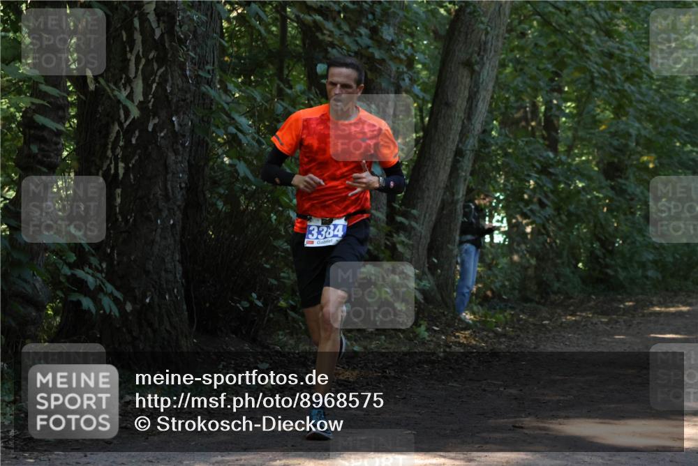 28.09.2025 - 33. Volkslauf durch das schöne Alstertal Strokosch-Dieckow http://msf.ph/oto/8968575 28.09.2025 11:08:18 Laufen 3384 meine-sportfotos.de