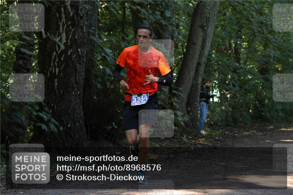 28.09.2025 - 33. Volkslauf durch das schöne Alstertal Strokosch-Dieckow http://msf.ph/oto/8968576 28.09.2025 11:08:18 Laufen 3384 meine-sportfotos.de