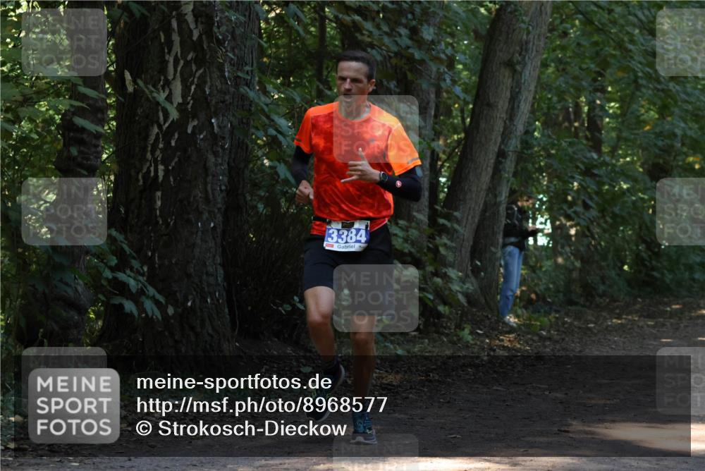 28.09.2025 - 33. Volkslauf durch das schöne Alstertal Strokosch-Dieckow http://msf.ph/oto/8968577 28.09.2025 11:08:18 Laufen 3384 meine-sportfotos.de