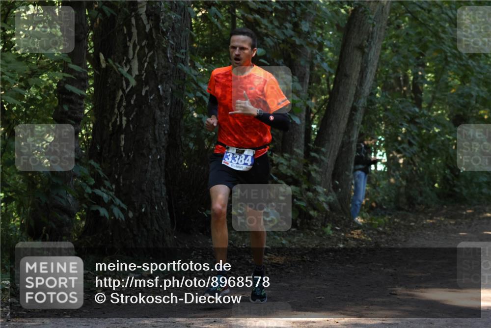 28.09.2025 - 33. Volkslauf durch das schöne Alstertal Strokosch-Dieckow http://msf.ph/oto/8968578 28.09.2025 11:08:18 Laufen 3384 meine-sportfotos.de