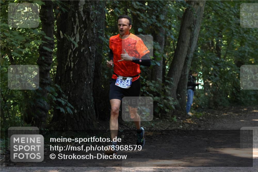 28.09.2025 - 33. Volkslauf durch das schöne Alstertal Strokosch-Dieckow http://msf.ph/oto/8968579 28.09.2025 11:08:18 Laufen 3384 meine-sportfotos.de