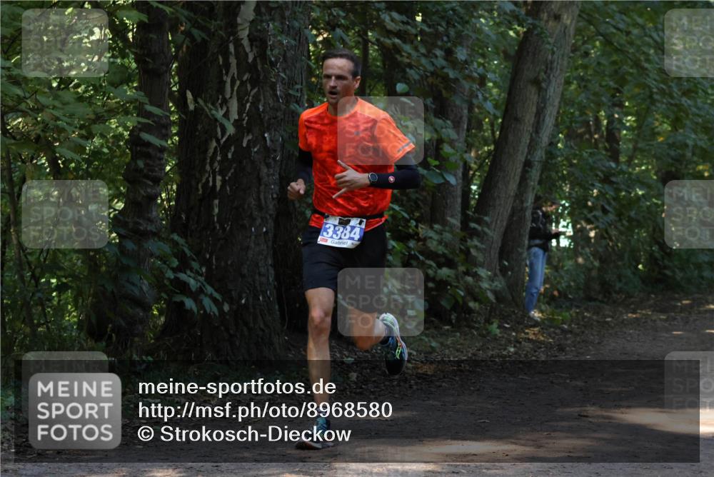 28.09.2025 - 33. Volkslauf durch das schöne Alstertal Strokosch-Dieckow http://msf.ph/oto/8968580 28.09.2025 11:08:18 Laufen 3384 meine-sportfotos.de