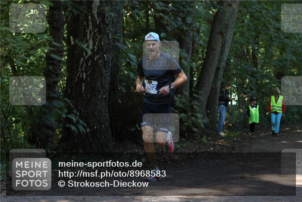 28.09.2025 - 33. Volkslauf durch das schöne Alstertal Strokosch-Dieckow http://msf.ph/oto/8968583 28.09.2025 11:08:37 Laufen 3902 meine-sportfotos.de