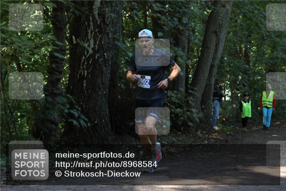 28.09.2025 - 33. Volkslauf durch das schöne Alstertal Strokosch-Dieckow http://msf.ph/oto/8968584 28.09.2025 11:08:37 Laufen 3902 meine-sportfotos.de