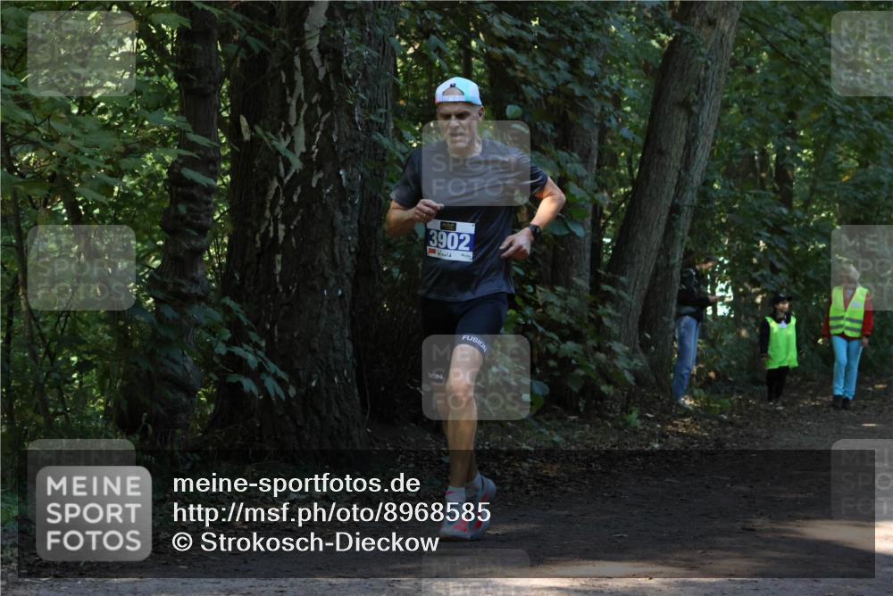 28.09.2025 - 33. Volkslauf durch das schöne Alstertal Strokosch-Dieckow http://msf.ph/oto/8968585 28.09.2025 11:08:37 Laufen 3902 meine-sportfotos.de