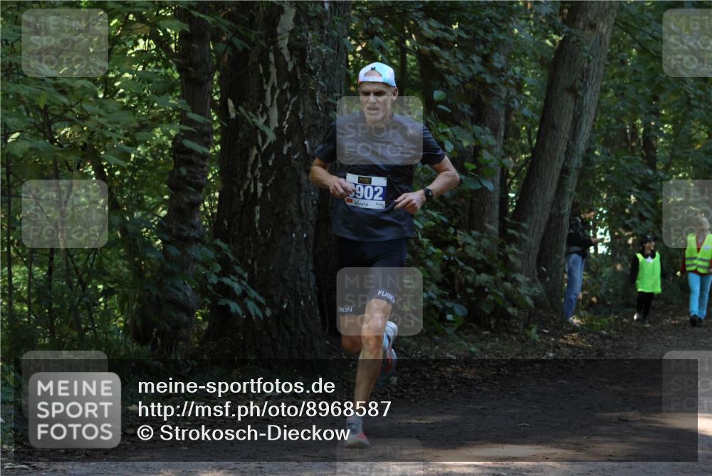 28.09.2025 - 33. Volkslauf durch das schöne Alstertal Strokosch-Dieckow http://msf.ph/oto/8968587 28.09.2025 11:08:38 Laufen 902 meine-sportfotos.de