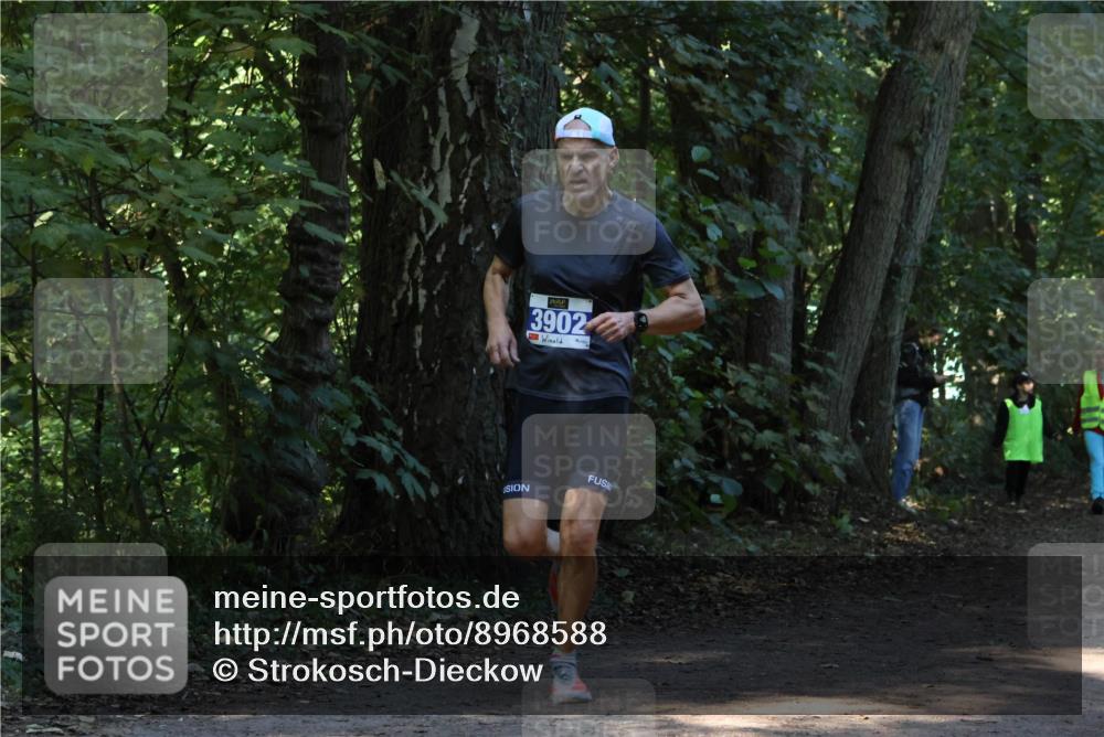 28.09.2025 - 33. Volkslauf durch das schöne Alstertal Strokosch-Dieckow http://msf.ph/oto/8968588 28.09.2025 11:08:38 Laufen 3902 meine-sportfotos.de