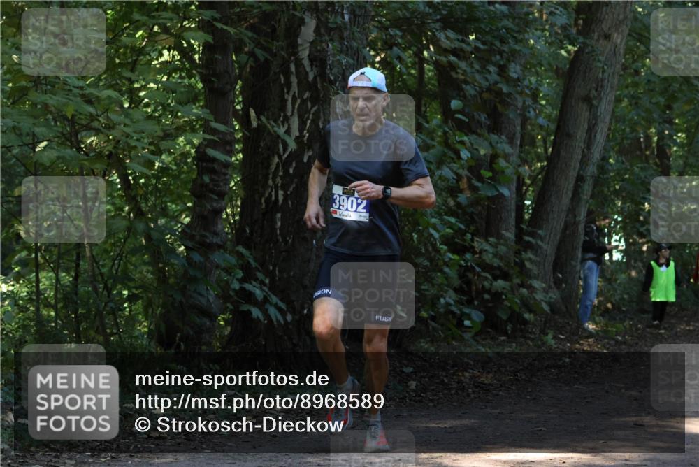 28.09.2025 - 33. Volkslauf durch das schöne Alstertal Strokosch-Dieckow http://msf.ph/oto/8968589 28.09.2025 11:08:38 Laufen 3902 meine-sportfotos.de