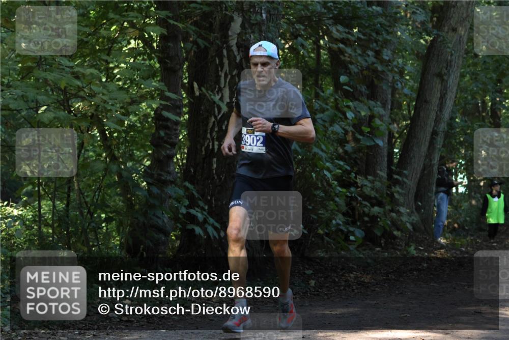 28.09.2025 - 33. Volkslauf durch das schöne Alstertal Strokosch-Dieckow http://msf.ph/oto/8968590 28.09.2025 11:08:38 Laufen 3902 meine-sportfotos.de