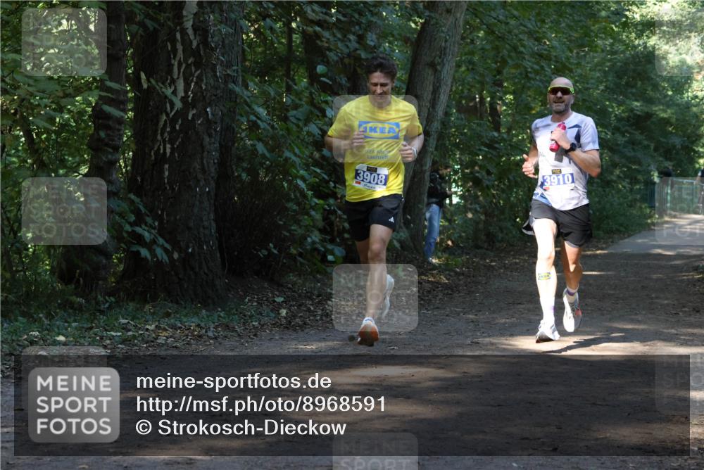 28.09.2025 - 33. Volkslauf durch das schöne Alstertal Strokosch-Dieckow http://msf.ph/oto/8968591 28.09.2025 11:09:18 Laufen 3908, 3910 meine-sportfotos.de