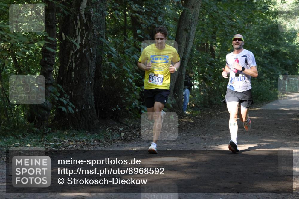 28.09.2025 - 33. Volkslauf durch das schöne Alstertal Strokosch-Dieckow http://msf.ph/oto/8968592 28.09.2025 11:09:18 Laufen 3908, 3910 meine-sportfotos.de