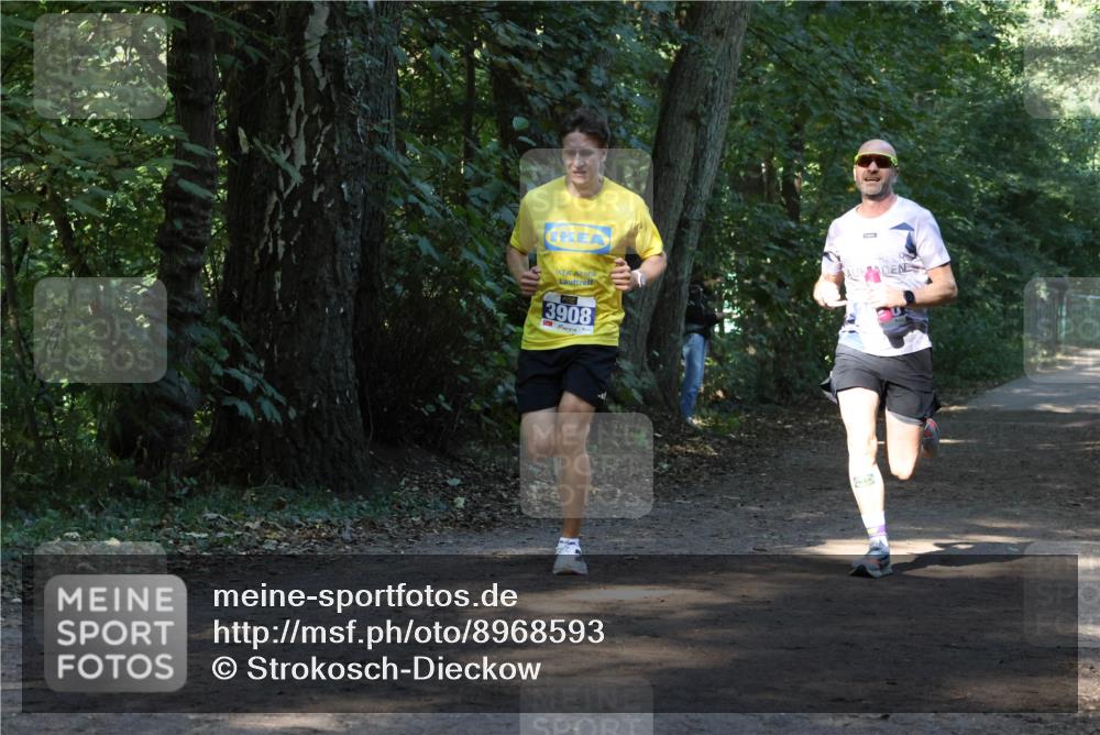 28.09.2025 - 33. Volkslauf durch das schöne Alstertal Strokosch-Dieckow http://msf.ph/oto/8968593 28.09.2025 11:09:18 Laufen 3908 meine-sportfotos.de