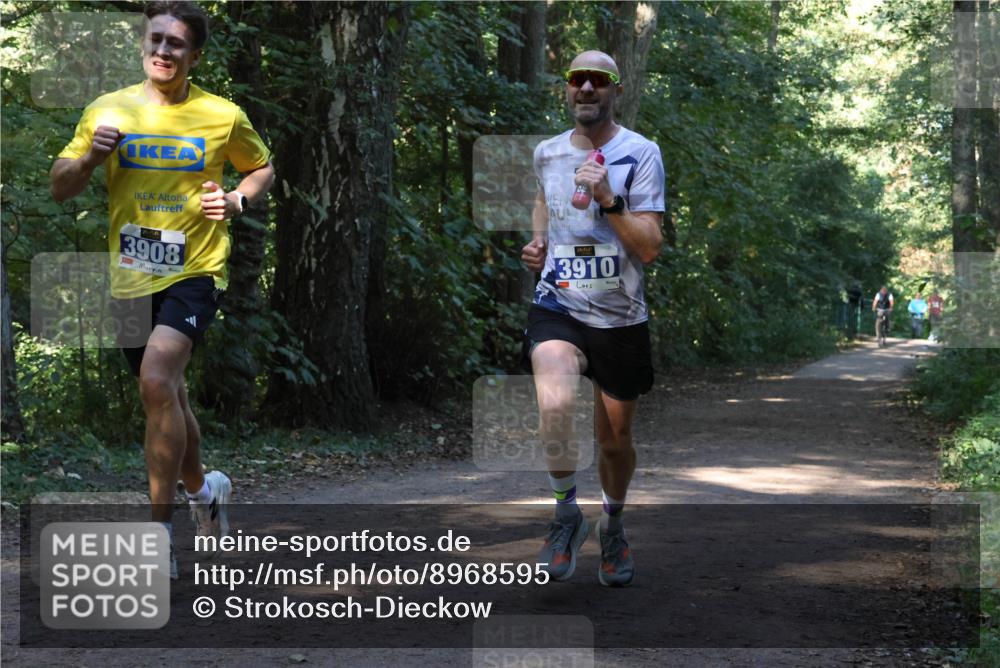 28.09.2025 - 33. Volkslauf durch das schöne Alstertal Strokosch-Dieckow http://msf.ph/oto/8968595 28.09.2025 11:09:19 Laufen 3908, 3910 meine-sportfotos.de