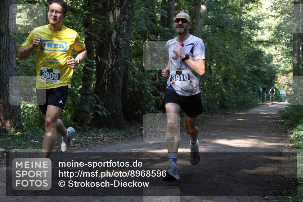 28.09.2025 - 33. Volkslauf durch das schöne Alstertal Strokosch-Dieckow http://msf.ph/oto/8968596 28.09.2025 11:09:19 Laufen 3908, 3910 meine-sportfotos.de