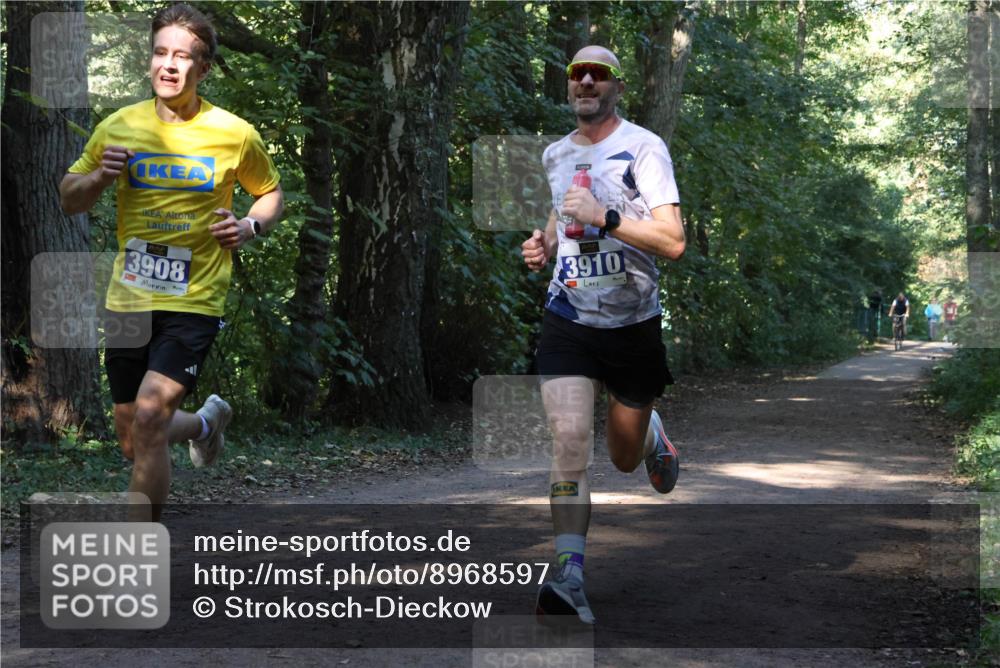 28.09.2025 - 33. Volkslauf durch das schöne Alstertal Strokosch-Dieckow http://msf.ph/oto/8968597 28.09.2025 11:09:19 Laufen 3908, 3910 meine-sportfotos.de