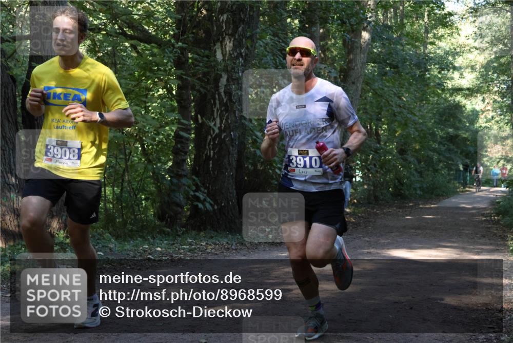 28.09.2025 - 33. Volkslauf durch das schöne Alstertal Strokosch-Dieckow http://msf.ph/oto/8968599 28.09.2025 11:09:19 Laufen 3908, 3910, 1 meine-sportfotos.de