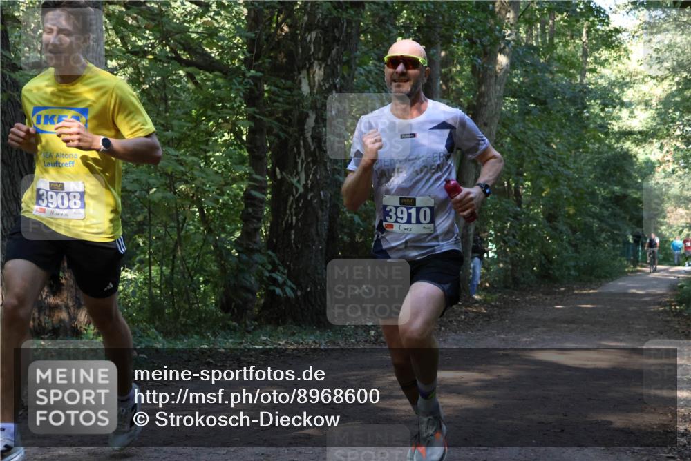 28.09.2025 - 33. Volkslauf durch das schöne Alstertal Strokosch-Dieckow http://msf.ph/oto/8968600 28.09.2025 11:09:19 Laufen 3908, 3910 meine-sportfotos.de