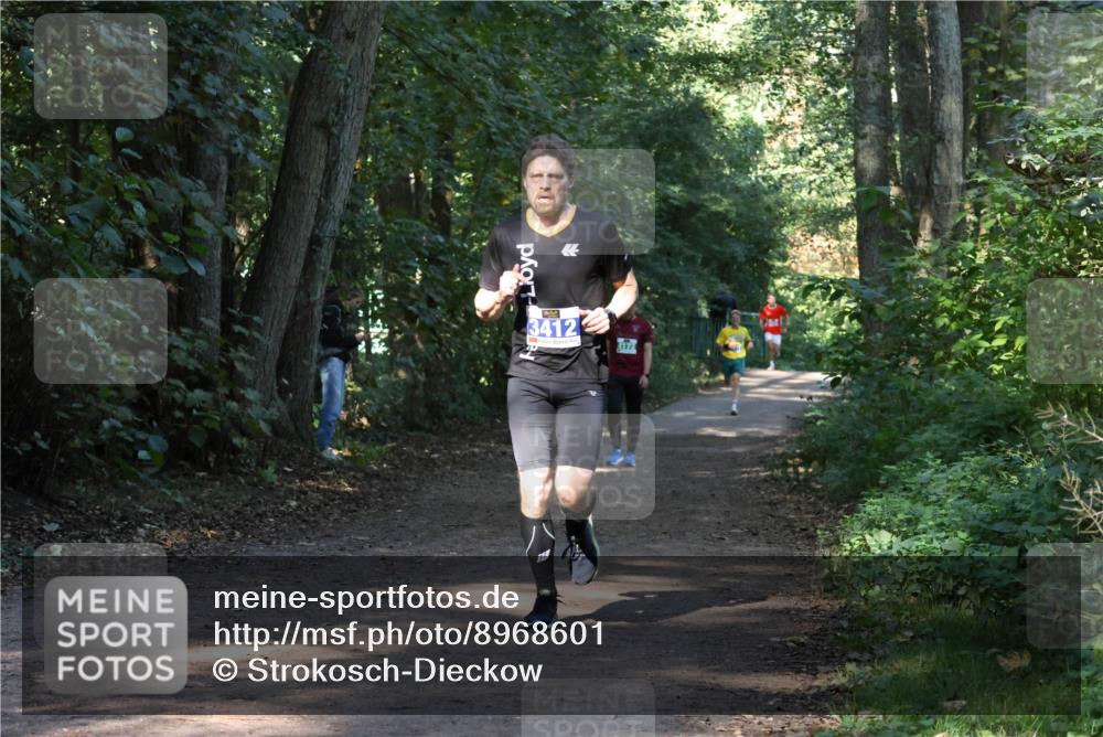 28.09.2025 - 33. Volkslauf durch das schöne Alstertal Strokosch-Dieckow http://msf.ph/oto/8968601 28.09.2025 11:09:46 Laufen  meine-sportfotos.de